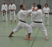 Karate Kata Bunkai