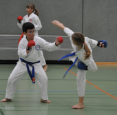 Karate Kids Kumite