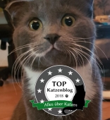 Katzenblog 2018
